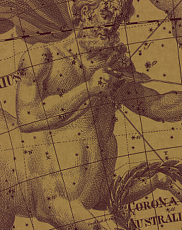 Панно и фотообои Italreflexes Macro Sagittarius-006/PureGold