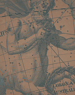 Панно и фотообои Italreflexes Macro Sagittarius-006/Copper