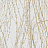 Панно и фотообои Italreflexes Macro Virginia Creeper-007/Gypsum