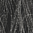 Панно и фотообои Italreflexes Macro Virginia Creeper-007/Slate