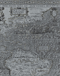 Панно и фотообои Italreflexes Macro Map-010/Silver