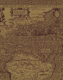 Панно и фотообои Italreflexes Macro Map-010/PureGold