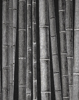 Панно и фотообои Italreflexes Macro Bamboo-011/Slate