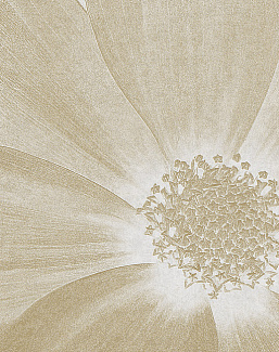 Панно и фотообои Italreflexes Macro Flower-013/Gypsum