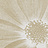 Панно и фотообои Italreflexes Macro Flower-013/Gypsum