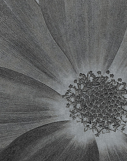 Панно и фотообои Italreflexes Macro Flower-013/Silver