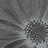 Панно и фотообои Italreflexes Macro Flower-013/Silver