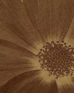 Панно и фотообои Italreflexes Macro Flower-013/Gold
