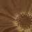 Панно и фотообои Italreflexes Macro Flower-013/Gold