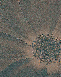 Панно и фотообои Italreflexes Macro Flower-013/Copper