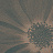 Панно и фотообои Italreflexes Macro Flower-013/Copper