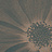 Панно и фотообои Italreflexes Macro Flower-013/Copper