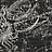 Панно и фотообои Italreflexes Macro Scorpio-018/Slate