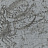Панно и фотообои Italreflexes Macro Scorpio-018/Silver