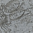 Панно и фотообои Italreflexes Macro Scorpio-018/Silver