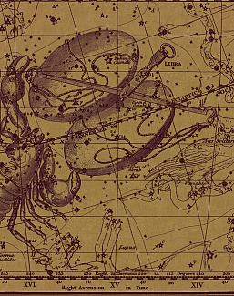 Панно и фотообои Italreflexes Macro Scorpio-018/PureGold