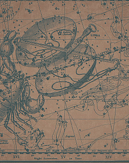 Панно и фотообои Italreflexes Macro Scorpio-018/Copper