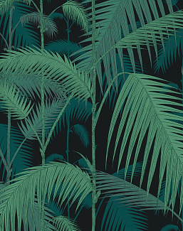 Ткань Cole & Son The Contemporary Collection F111/2004LU