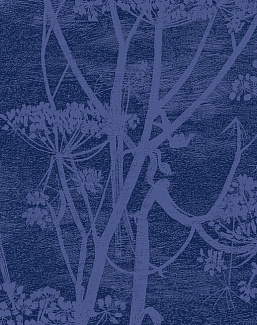 Ткань Cole & Son The Contemporary Collection F111/5016