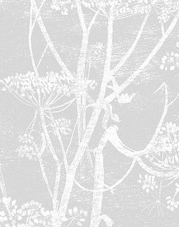 Ткань Cole & Son The Contemporary Collection F111/5021