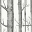 Ткань Cole & Son The Contemporary Collection F111/7026LU