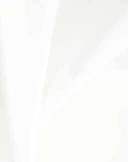 Ткань Daylight Welfare Welfare/Swan