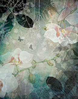 Панно и фотообои ID Wall Botanica ID048015
