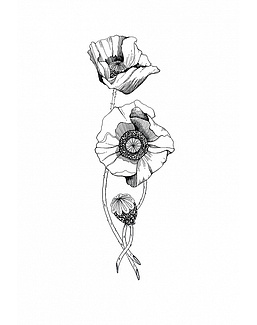 Панно и фотообои ID Wall Botanica ID048021