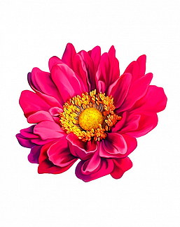 Панно и фотообои ID Wall Botanica ID048027