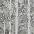 Обои Collection For Walls Modern I 202401
