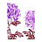 Обои Designers Guild Cloisonne P457/04