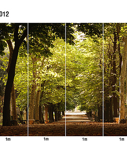 Панно и фотообои Loymina Illusion DS-012