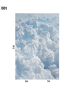 Панно и фотообои Loymina Illusion DSE-001