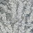 Обои Cole & Son Archive Anthology 100/1004