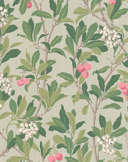Обои Cole & Son Archive Anthology 100/10048