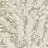 Обои Cole & Son Archive Anthology 100/1005