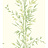 Обои Cole & Son Archive Anthology 100/5023