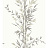 Обои Cole & Son Archive Anthology 100/5025