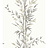 Обои Cole & Son Archive Anthology 100/5025