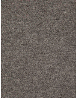 Ткань Holland & Sherry Boiled Wool DE10112