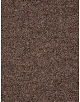 Ткань Holland & Sherry Boiled Wool DE10110