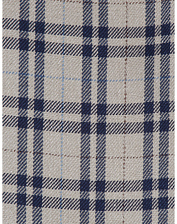 Ткань Holland & Sherry Linen Stripe & Plaid DE12665