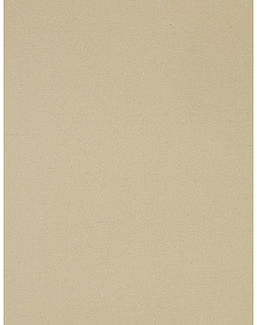 Ткань Holland & Sherry Luxury Wool/Cashmere Flannel DE13169