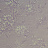 Ткань Clarke & Clarke Castle Garden F1047/03