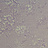 Ткань Clarke & Clarke Castle Garden F1047/03