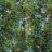 Ткань Designers Guild Boratti FDG2189/01
