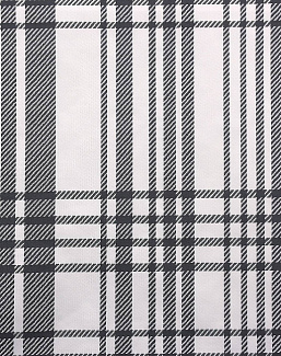 Ткань Clarke & Clarke Black + White F0878/01