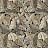 Ткань Morris & Co The collector 226399