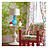 Обои Stroheim Dana Gibson Sister's Peony/Grass