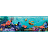 Бордюр York Disney II DS7686BD